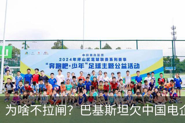 为啥不拉闸？巴基斯坦欠中国电企的电费，已经滚到了4980亿巨款
