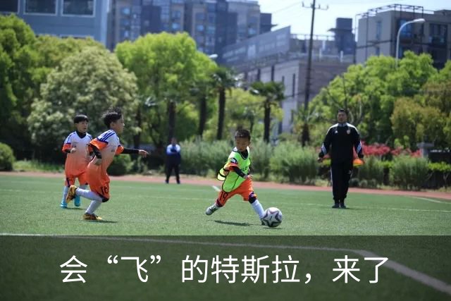会“飞”的特斯拉，来了