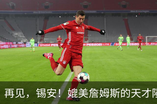 再见，锡安！媲美詹姆斯的天才陨落了……