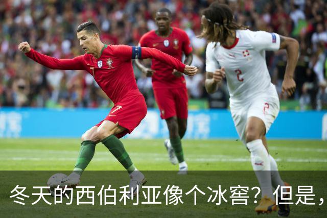 冬天的西伯利亚像个冰窖？但是，它却是俄罗斯的＂摇钱树＂