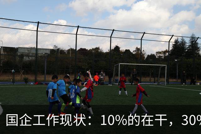 国企工作现状：10%的在干，30%的在看，剩下的人在捣乱！