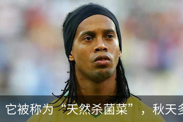 它被称为“天然杀菌菜”，秋天多吃，一预防感冒 ，二健脾开胃促消化