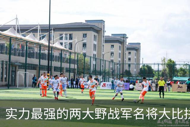 实力最强的两大野战军名将大比拼，到底谁更胜一筹？