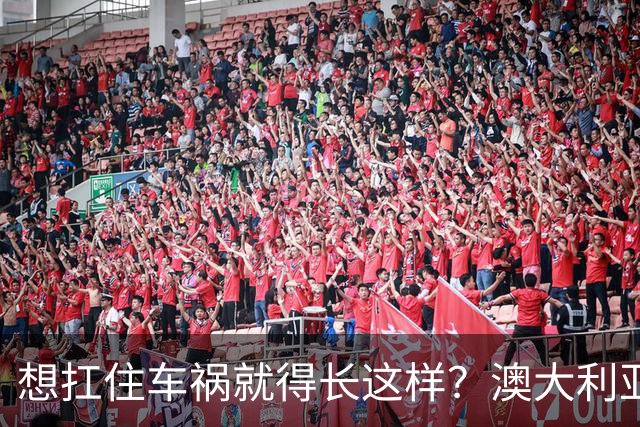 想扛住车祸就得长这样？澳大利亚公益宣传太炸裂了！