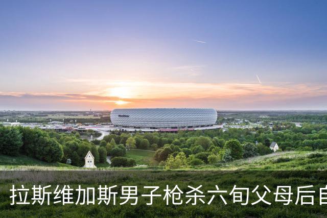 拉斯维加斯男子枪杀六旬父母后自杀，警方称系孤立事件