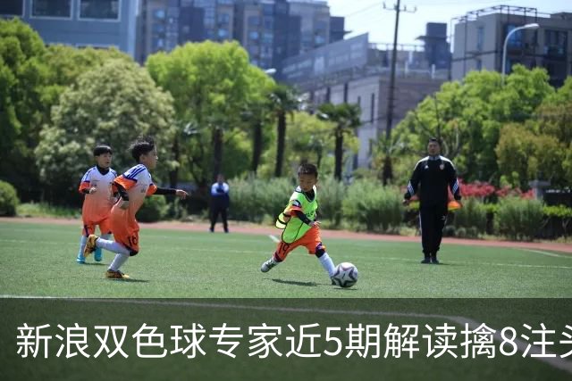 新浪双色球专家近5期解读擒8注头奖!豪揽6173万