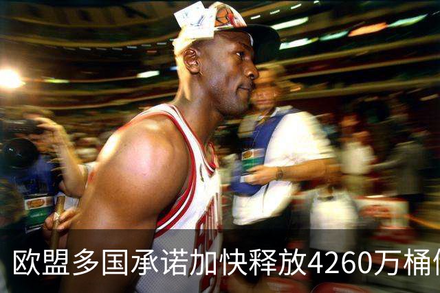 欧盟多国承诺加快释放4260万桶储油以稳定市场