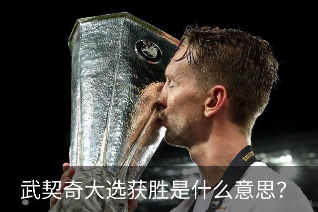 武契奇大选获胜是什么意思？
