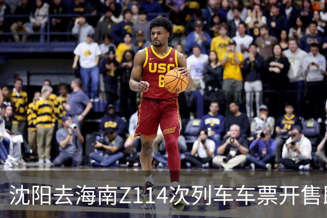 沈阳去海南Z114次列车车票开售即售罄，网友称“提前半个月根本抢不到”，12306回应