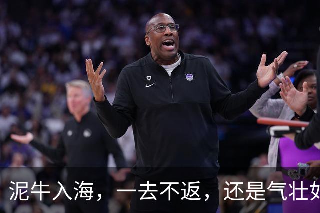 泥牛入海，一去不返，还是气壮如牛，卷土重来？这些新星给出了答案