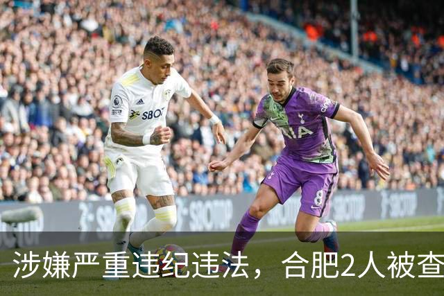 涉嫌严重违纪违法，合肥2人被查！