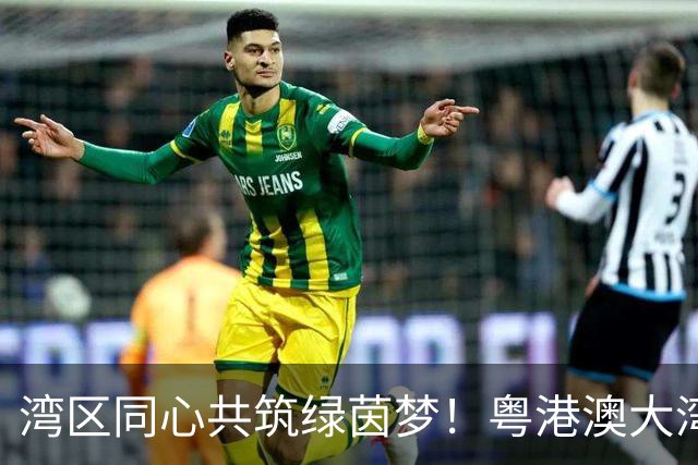 湾区同心共筑绿茵梦！粤港澳大湾区青少年足球交流赛顺德开赛