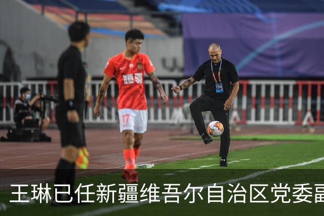 王琳已任新疆维吾尔自治区党委副书记