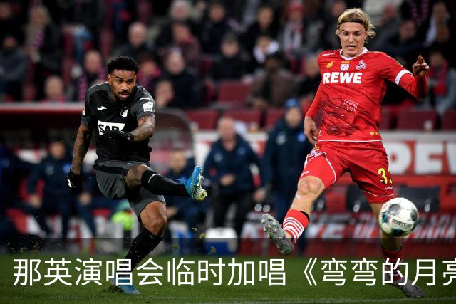 那英演唱会临时加唱《弯弯的月亮》或将面临罚款？