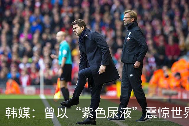 韩媒：曾以“紫色尿液”震惊世界的孙杨，在马拉松游泳赛场迎来最后征战